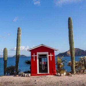 Baja California: viaggio tra balene, deserti di cactus e spiagge incantate