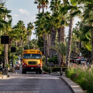 Baja California: viaggio tra balene, deserti di cactus e spiagge incantate