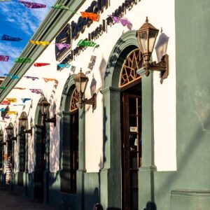 Baja California: viaggio tra balene, deserti di cactus e spiagge incantate