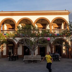 Baja California: viaggio tra balene, deserti di cactus e spiagge incantate