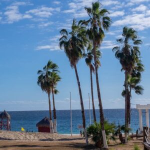 Baja California: viaggio tra balene, deserti di cactus e spiagge incantate