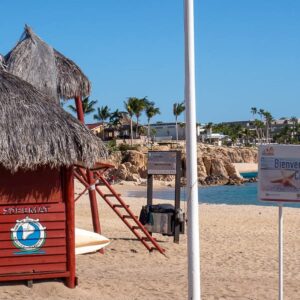 Baja California: viaggio tra balene, deserti di cactus e spiagge incantate