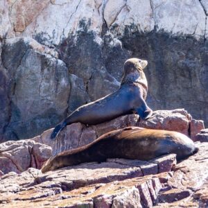 Baja California: viaggio tra balene, deserti di cactus e spiagge incantate