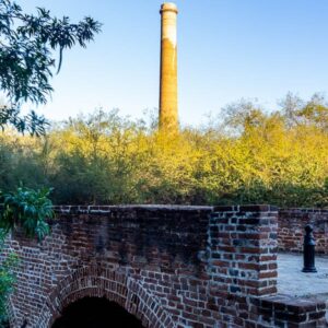 Baja California: viaggio tra balene, deserti di cactus e spiagge incantate