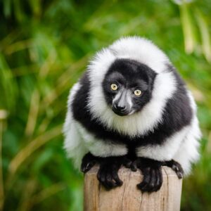 Una crociera all’isola di Madagascar a bordo di un catamarano