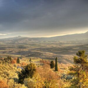 Itinerario esoterico in Toscana, nel Bosco Isabella di Radicofani