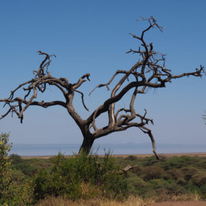 Afronine: viaggio in Africa scontato per gli operatori sanitari