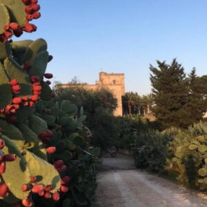 Soggiornare a Borgo Valle Rita, il country resort in Puglia