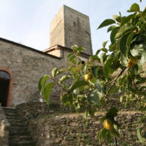 Itinerario del mistero in Toscana: il Castello di Tresana