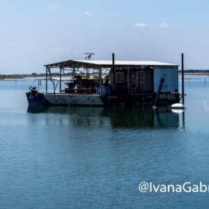 Una vacanza sull’Isola di Albarella: mare, natura e sport sul Delta del Po