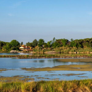 Una vacanza sull’Isola di Albarella: mare, natura e sport sul Delta del Po