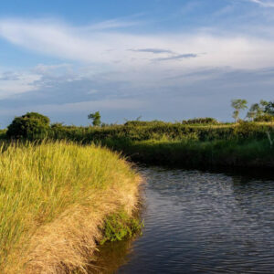 Una vacanza sull’Isola di Albarella: mare, natura e sport sul Delta del Po