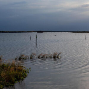 Una vacanza sull’Isola di Albarella: mare, natura e sport sul Delta del Po