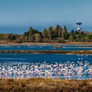 Una vacanza sull’Isola di Albarella: mare, natura e sport sul Delta del Po