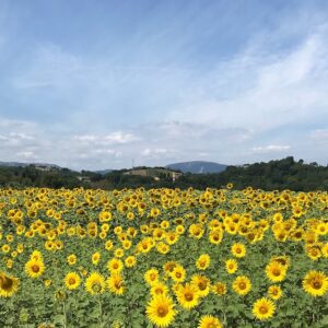 Marche, i 5 borghi più belli del maceratese