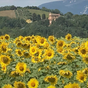 Marche, i 5 borghi più belli del maceratese