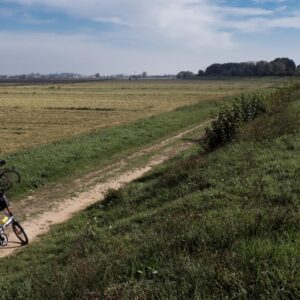 La via dell’Adige: un itinerario in bicicletta nella Bassa Padovana