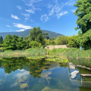 Terme di Merano: un soggiorno di benessere in Trentino Alto Adige