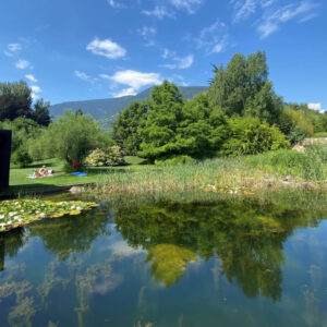 Terme di Merano: un soggiorno di benessere in Trentino Alto Adige