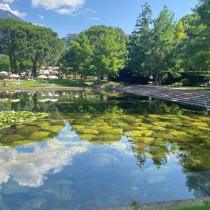 Terme di Merano: un soggiorno di benessere in Trentino Alto Adige