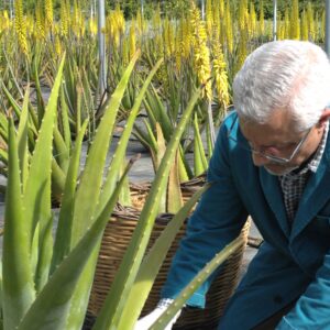 N&B cosmesi bio: dalla natura il cibo puro per la pelle