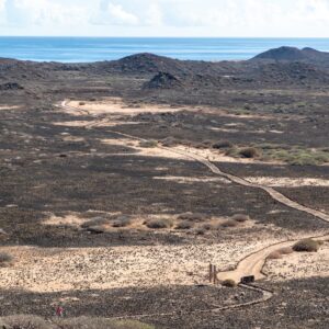  Visitare l’isola di Lobos: segreti e consigli per conoscerla meglio