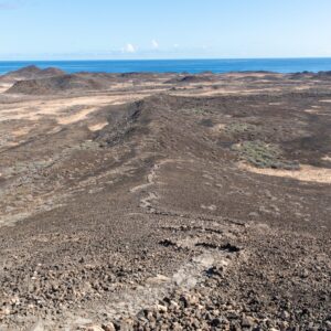  Visitare l’isola di Lobos: segreti e consigli per conoscerla meglio