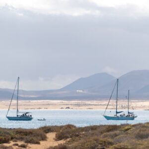  Visitare l’isola di Lobos: segreti e consigli per conoscerla meglio