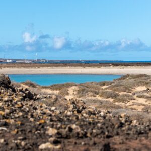  Visitare l’isola di Lobos: segreti e consigli per conoscerla meglio