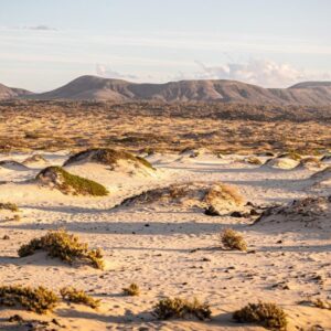 Una vacanza a Fuerteventura: i consigli per conoscerla meglio