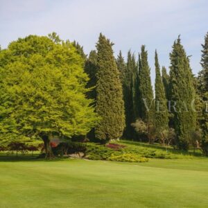 Parco Sigurtà, il giardino più bello d’Italia si trova in Veneto