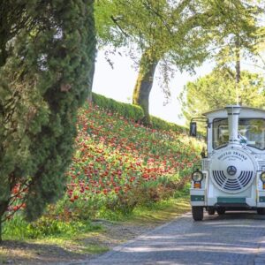 Parco Sigurtà, il giardino più bello d’Italia si trova in Veneto