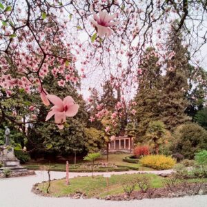 foto Andrea Tessaro_Archivio Grandi Giardini Italiani