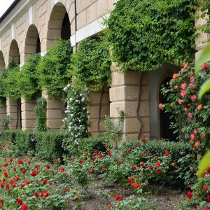 ph. Nicola Zanettin_Archivio Grandi Giardini Italiani 