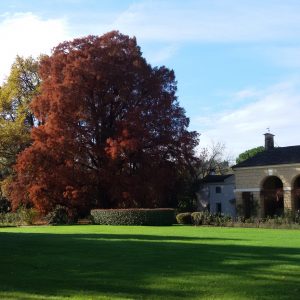 ph. Nicola Zanettin_Archivio Grandi Giardini Italiani