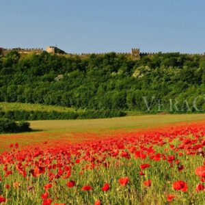 La Rocca di Lonato del Garda: un castello animato dagli eventi culturali