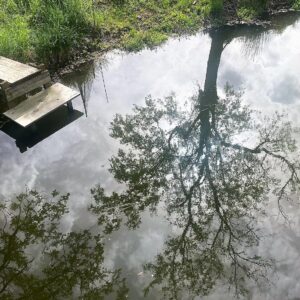 Lio Piccolo, l’antico borgo della Laguna di Venezia e le saline