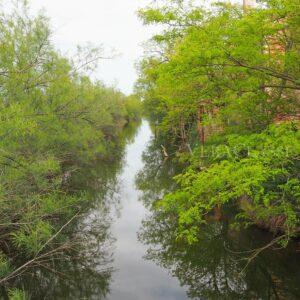 Lio Piccolo, l’antico borgo della Laguna di Venezia e le saline