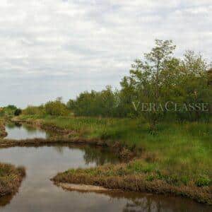 Lio Piccolo, l’antico borgo della Laguna di Venezia e le saline