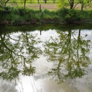 Lio Piccolo, l’antico borgo della Laguna di Venezia e le saline