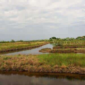 Lio Piccolo, l’antico borgo della Laguna di Venezia e le saline