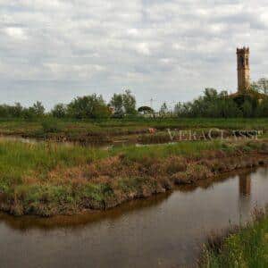 Lio Piccolo, l’antico borgo della Laguna di Venezia e le saline