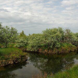 Lio Piccolo, l’antico borgo della Laguna di Venezia e le saline