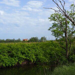 Lio Piccolo, l’antico borgo della Laguna di Venezia e le saline