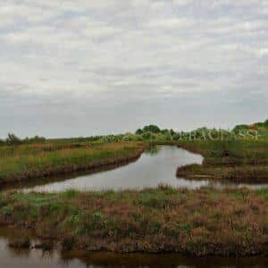 Lio Piccolo, l’antico borgo della Laguna di Venezia e le saline