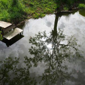 Lio Piccolo, l’antico borgo della Laguna di Venezia e le saline