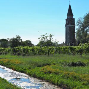 L’isola di Mazzorbo, il gioiello nascosto di Venezia