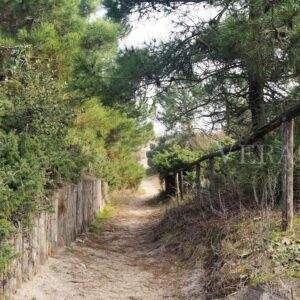 Porto Caleri, la spiaggia libera e il giardino botanico