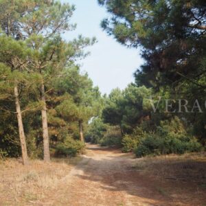 Porto Caleri, la spiaggia libera e il giardino botanico