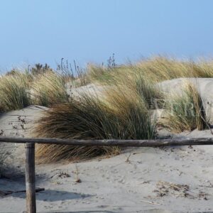 Porto Caleri, la spiaggia libera e il giardino botanico